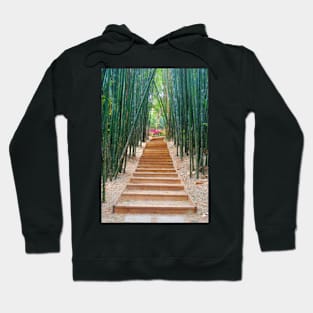 Bamboo Stairway to Enlightenment Hoodie